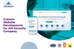 Custom Website Development for API Security Company